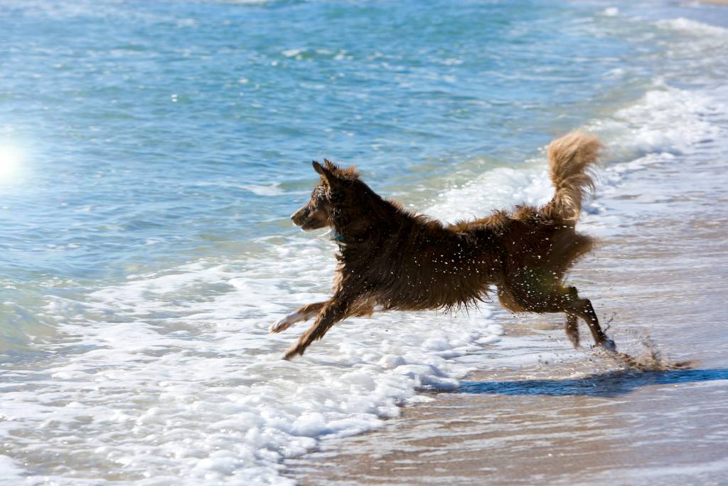 Vorsicht vor steilen Ufern und rutschigen Schwimmbeckenrändern | Lieblingstier