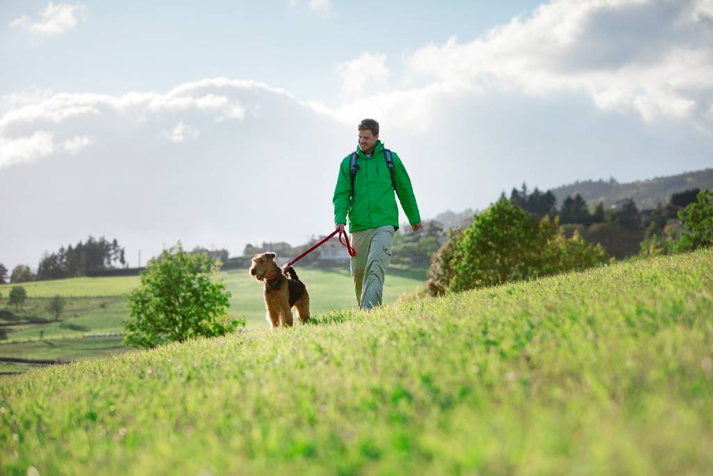 Suche die beste Wegstrecke für euch | Lieblingstier