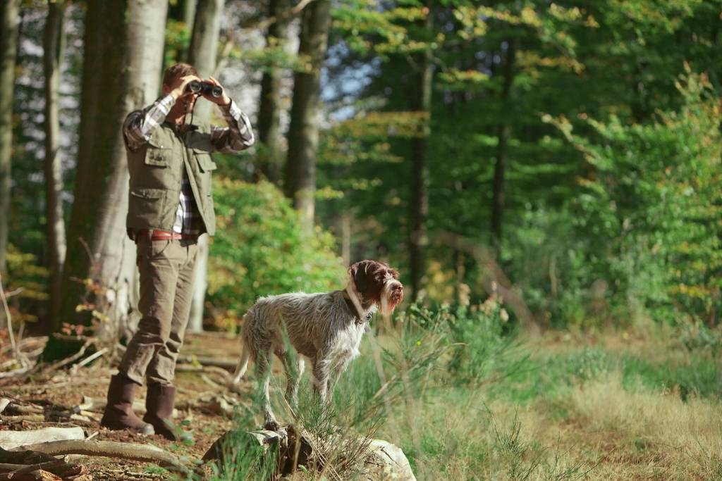 Manche Hundelaute haben sich erst in der Zucht etabliert | Lieblingstier