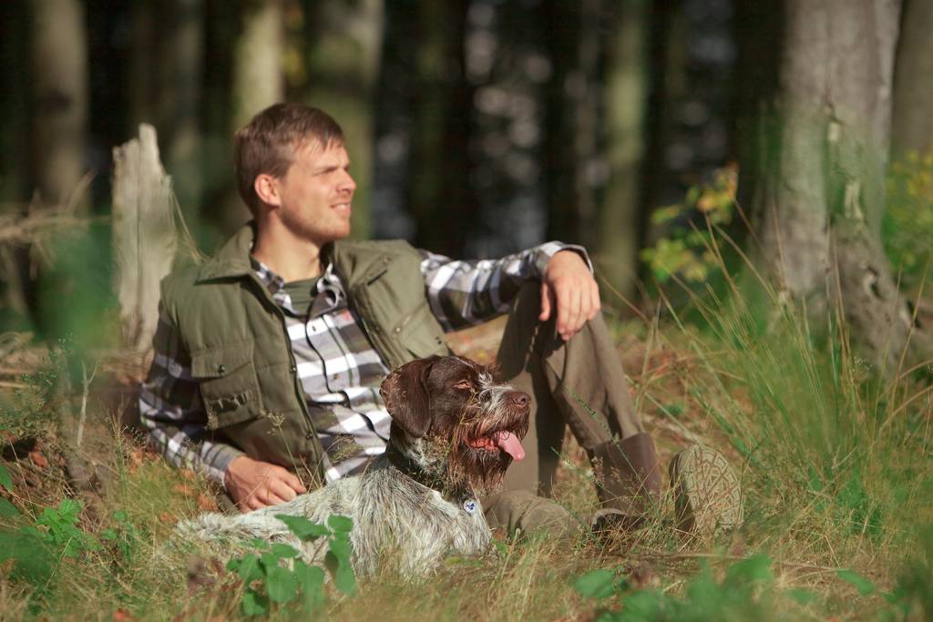 Der ideale Jagdhund | Lieblingstier