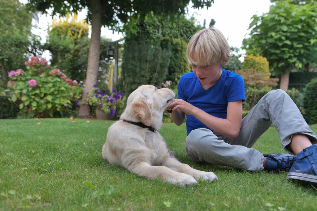 Ein Hund bedeutet Verantwortung | Lieblingstier