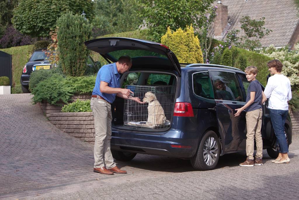 Nicht jede Fellnase hasst ihre Hundebox | Lieblingstier