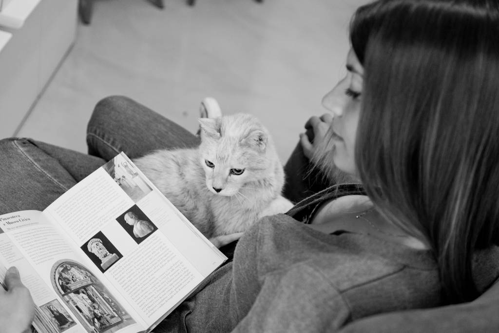 Sorge vor, damit deine Katze ein langes gesundes Leben hat | Lieblingstier