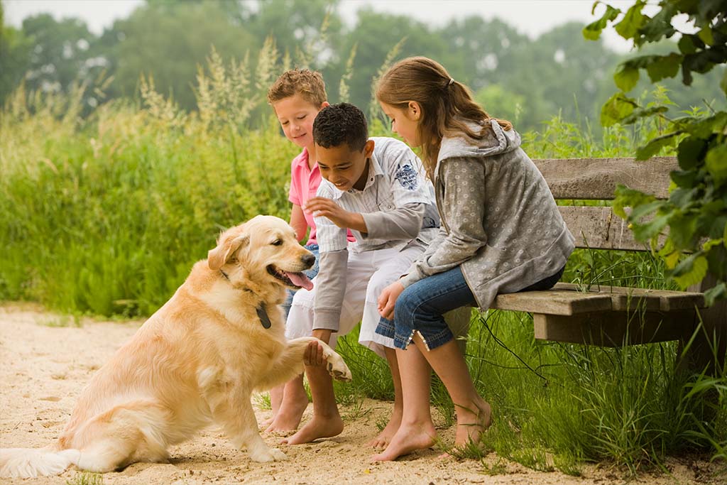 Kinderleichtes Training | Lieblingstier