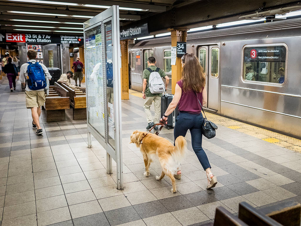 Mit dem Hund in der Bahn | Lieblingstier
