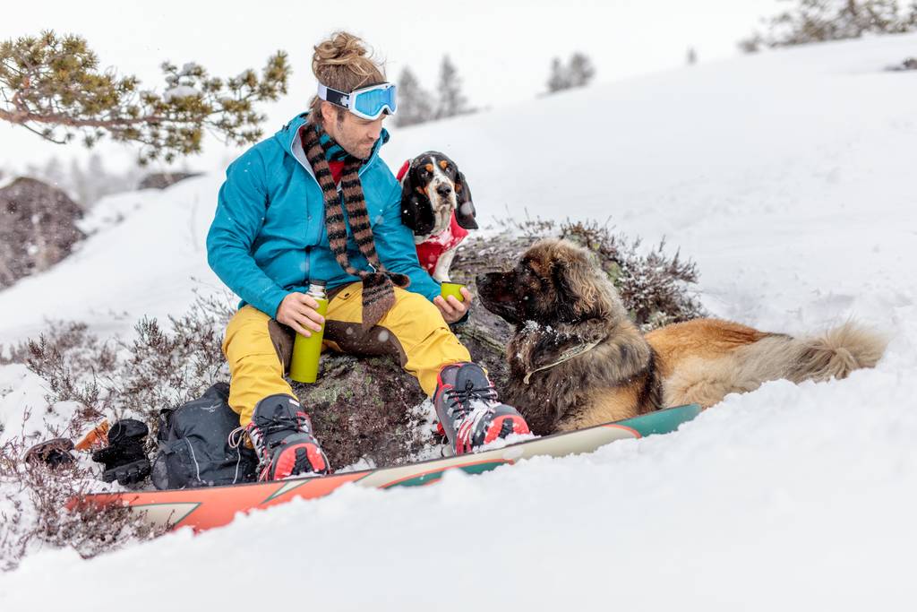 Besser versichert? | Lieblingstier