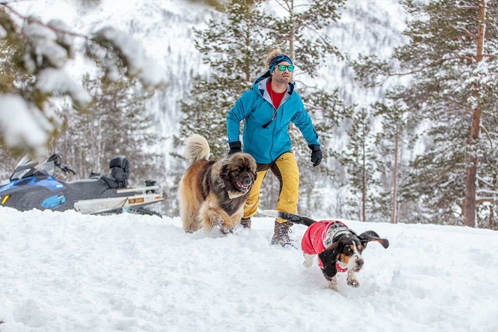 Mit dem Hund im Schnee | Lieblingstier